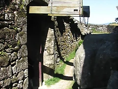 IMG_4976 IMG_4976