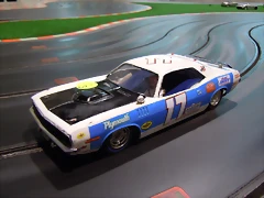 DSCN4521 DSCN4521