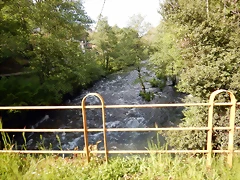 DSCN9614 DSCN9614