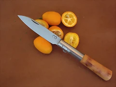 CIMG1507