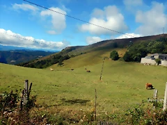 DSCN4474 DSCN4474