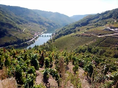DSCN0477 DSCN0477