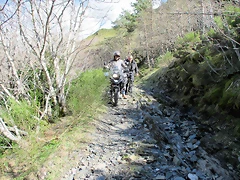 IMG_0199 IMG_0199