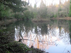 IMG_0554 IMG_0554
