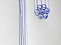 20180401_142809 20180401_142809
