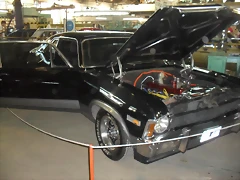 SDC14437 SDC14437