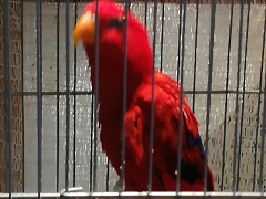 IMG_20170122_121107 IMG_20170122_121107