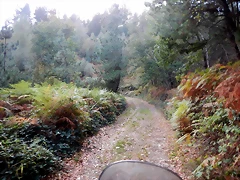 DSCN8476