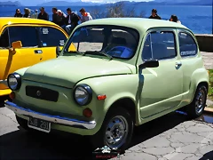 CAS_3955 CAS_3955