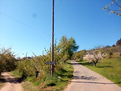 DSCN5490 DSCN5490