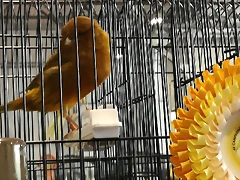 IMG_20170122_133150 IMG_20170122_133150