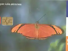 MARIPOSA05