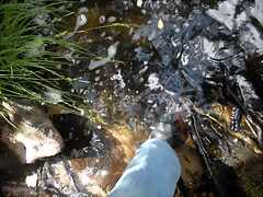 DSCN2786 DSCN2786
