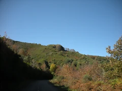 DSCN0126