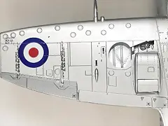SDC39535 SDC39535