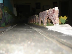 DSC01220
