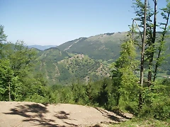 sakanagohierri2 (4)