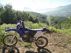 sakanaoff (5)