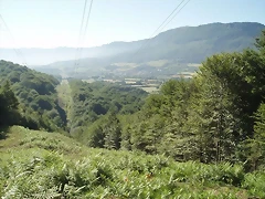 sakanaoff (7)