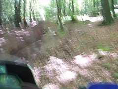 sakanagohierri2 (1)