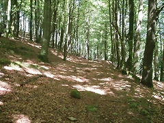 sakanagohierri2 (2)