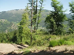 sakanagohierri2 (6)
