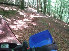 sakanagohierri2 (3)