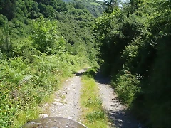 sakanagohierri2 (8)