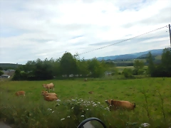 DSCN3284 DSCN3284