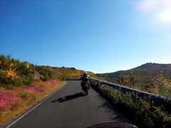 DSCN2076 DSCN2076