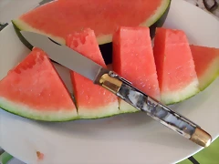 SAM_3068