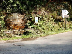 DSCN7159 DSCN7159