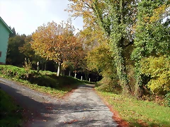 DSCN4696 DSCN4696