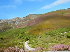 DSCN9128 DSCN9128