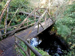 DSCN8460 DSCN8460