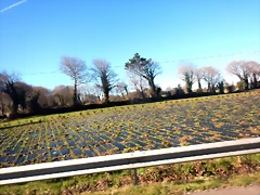 DSCN2479 DSCN2479