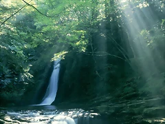 Cascada - Mie, Japón Cascada - Mie, Japón