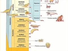 ES1