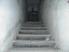 P5310020