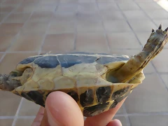 P1110418
