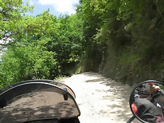 R0012854 R0012854
