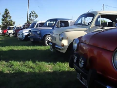 SDC17765 SDC17765