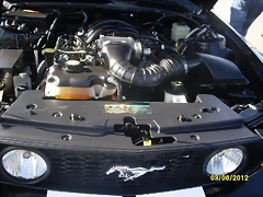 SDC14135 SDC14135