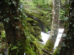 DSCN4183 DSCN4183