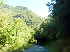 DSCN0105 DSCN0105