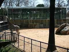 Zoo de Barcelona 13-03-11 425 Zoo de Barcelona 13-03-11 425