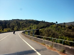 DSCN5517 DSCN5517