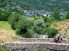 IMG_7748 IMG_7748