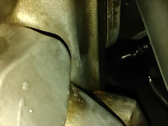 IMAG0710