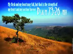 psalm-7326_4898_1024x768